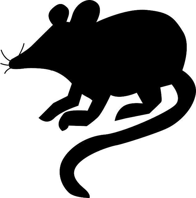 Mice
