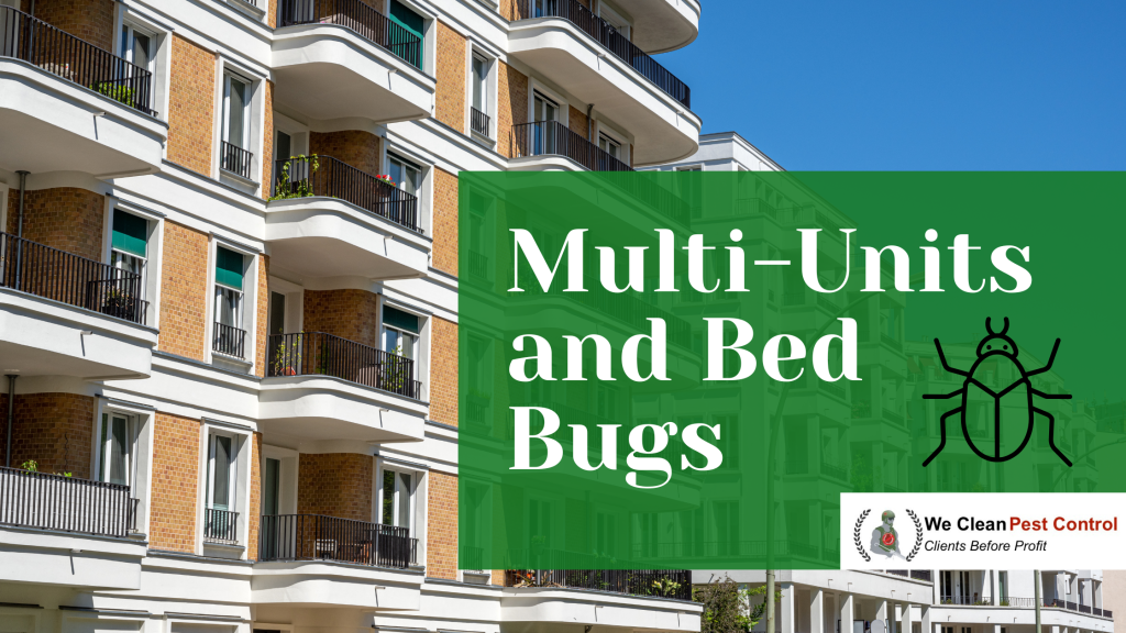 How to Effectively Control Bed Bugs in MultiUnit Buildings We Clean