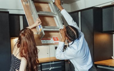 DIY vs Professional Pest Control