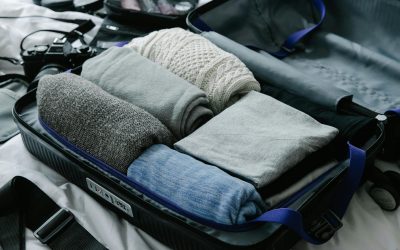 Summer Travel Tips: How to Prevent Bed Bugs from Traveling in Your Luggage