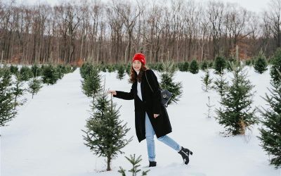 Holiday Guests You Don’t Want: How to Avoid Bringing Pests Home During the Holidays