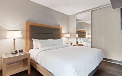 Hotel Pest Control​: How Pest Control Can Help You Provide Value to Your Hotel Guests
