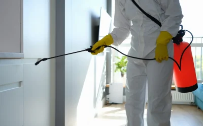 How to Exterminate Cockroaches
