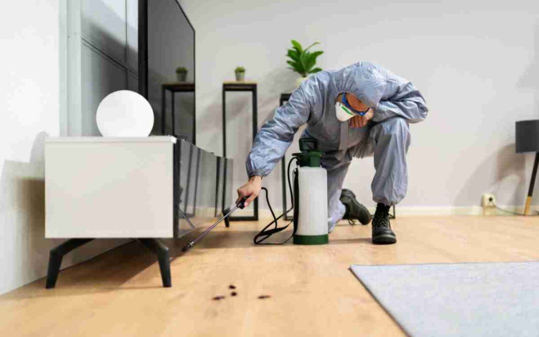 Residential Pest Control in Calgary & Edmonton: Safe Solutions for Every Home