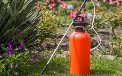 Best Pest Control Services in Edmonton​