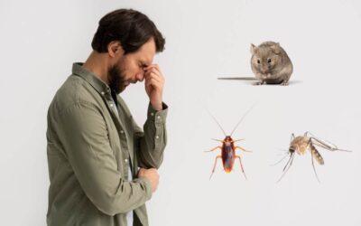 How Pest Problems Impact Health Inspection Results