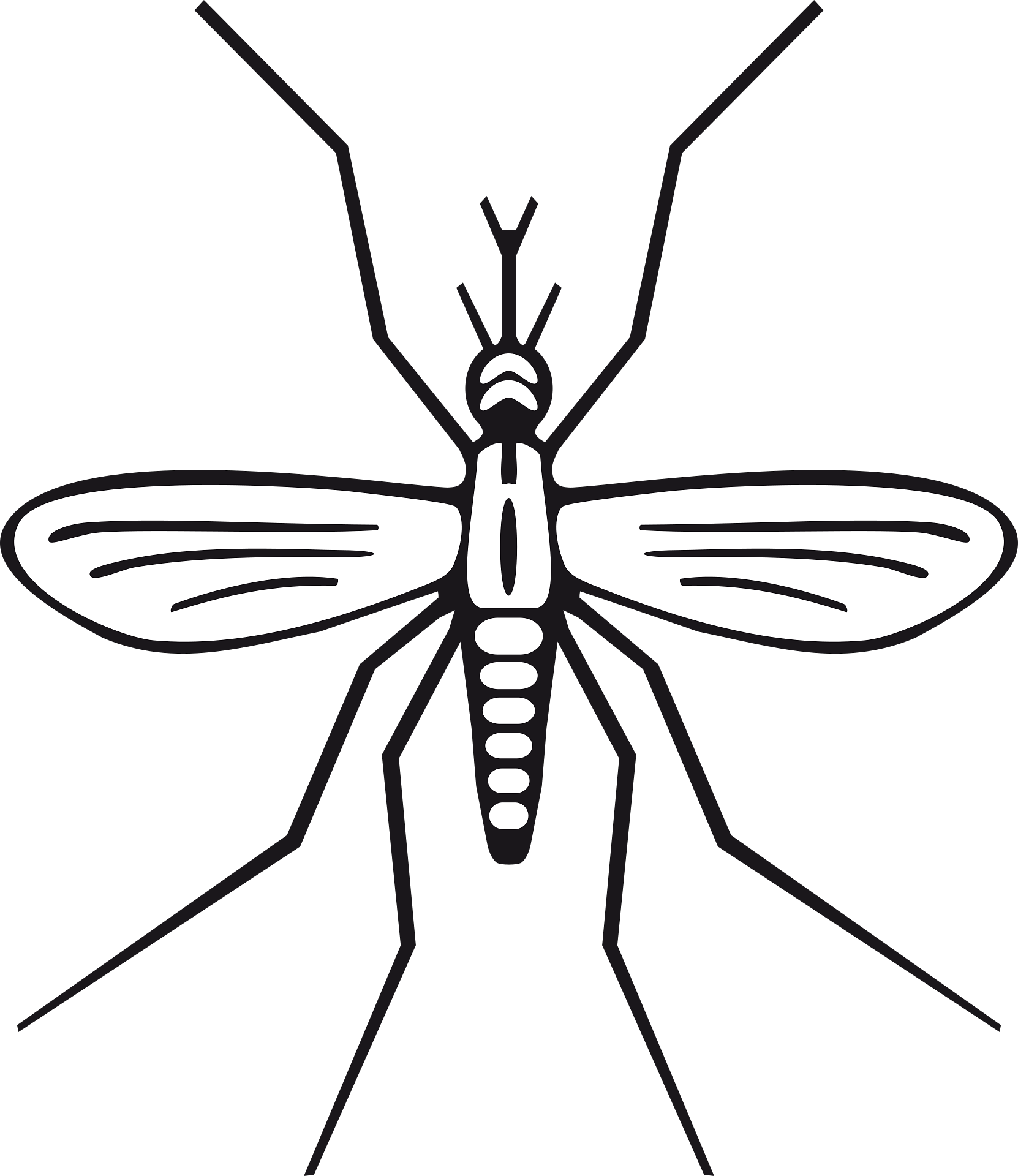 MOSQUITOES
