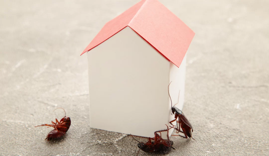 The Most Common Pest Prevention Mistakes Property Owners Make