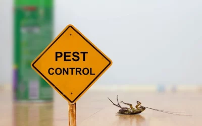 What Businesses Should Include in a Pest Prevention Program