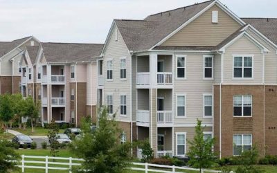 Why Pest Problems Spread Faster in Apartment Buildings Than Single-Family Homes