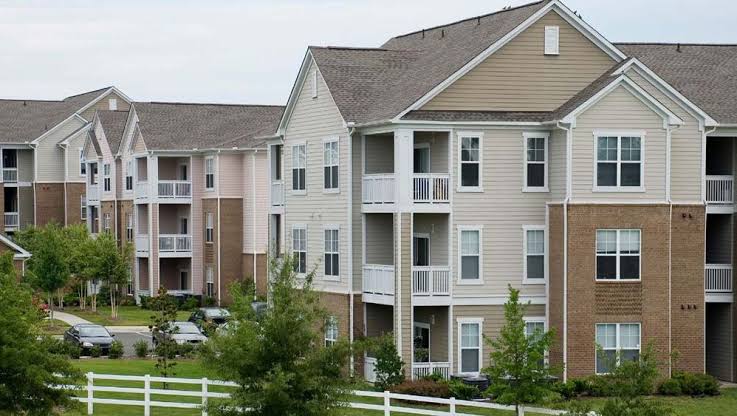 Why Pest Problems Spread Faster in Apartment Buildings Than Single-Family Homes