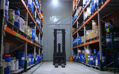 Why Summer Is the Most Important Season for Commercial Pest Control in Edmonton