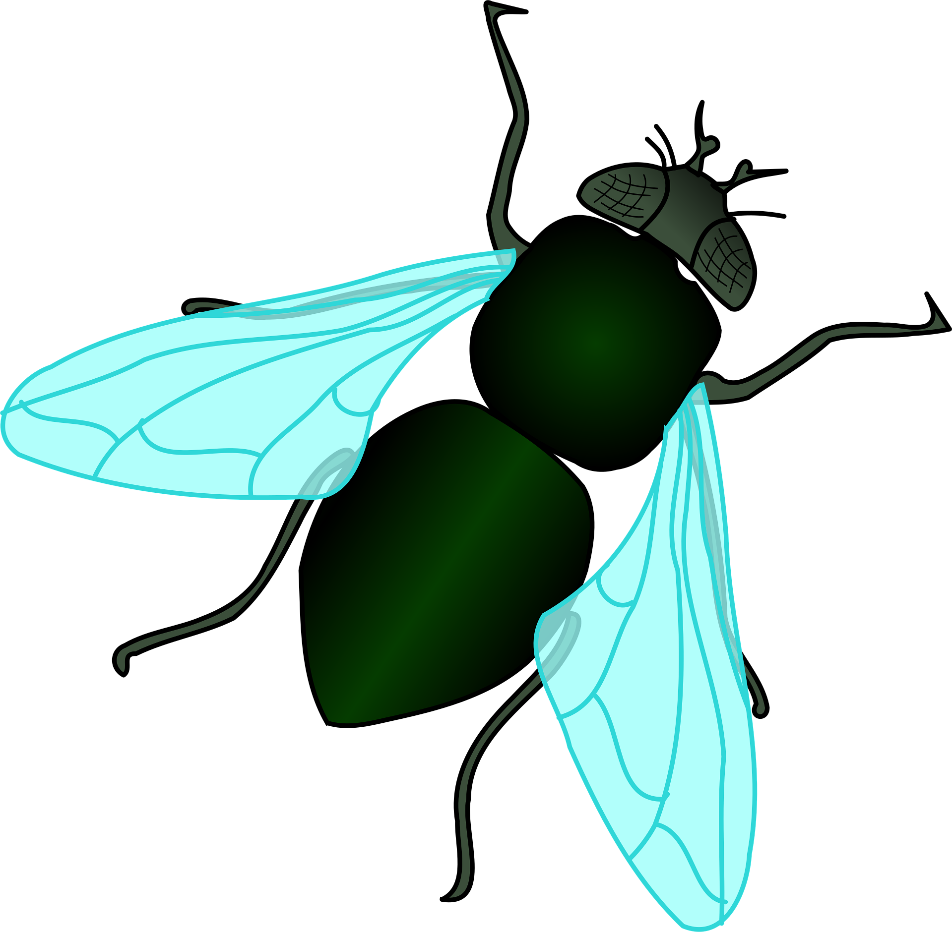 FLIES