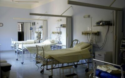 Hospital Pest Control in Edmonton: Why Prevention Matters