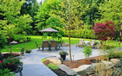 How to Get Rid of Flies and Mosquitoes in Your Backyard This Summer