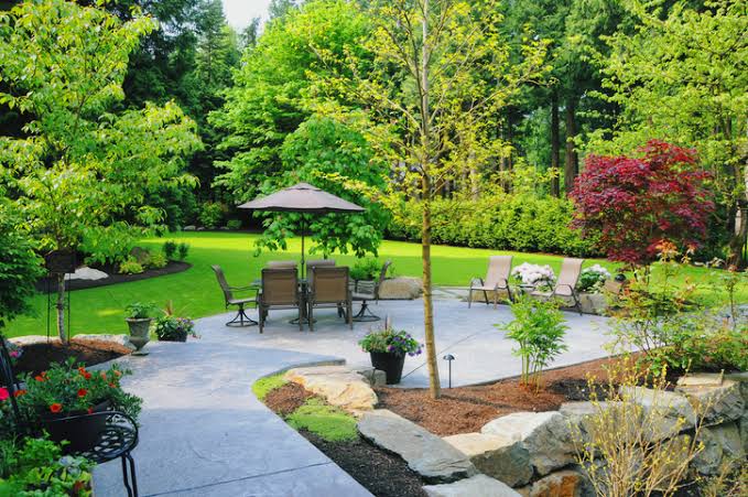 How to Get Rid of Flies and Mosquitoes in Your Backyard This Summer