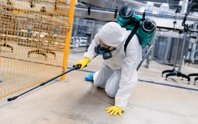 Warehouse Pest Control in Edmonton: Best Practices for Pest Prevention