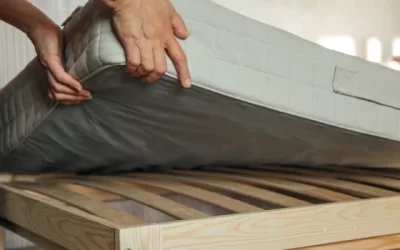 Where Bed Bugs Hide in Edmonton Homes