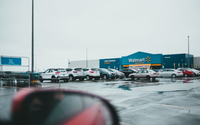 Your Parking Lot Could Be Attracting Pests (Without You Knowing)