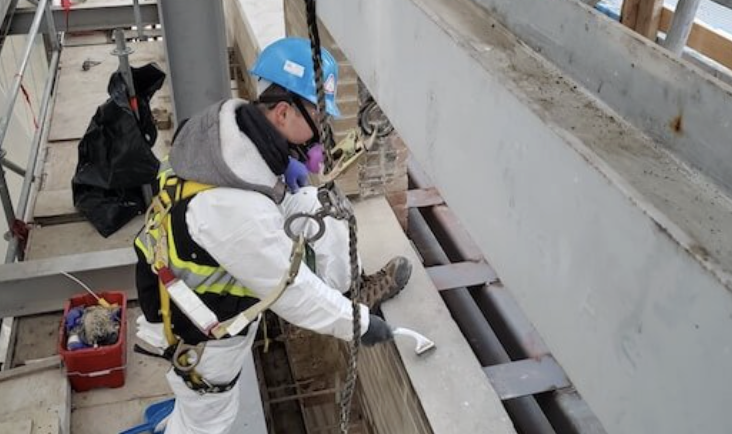 Construction Pest Control in Edmonton: Protecting New Builds From Pests