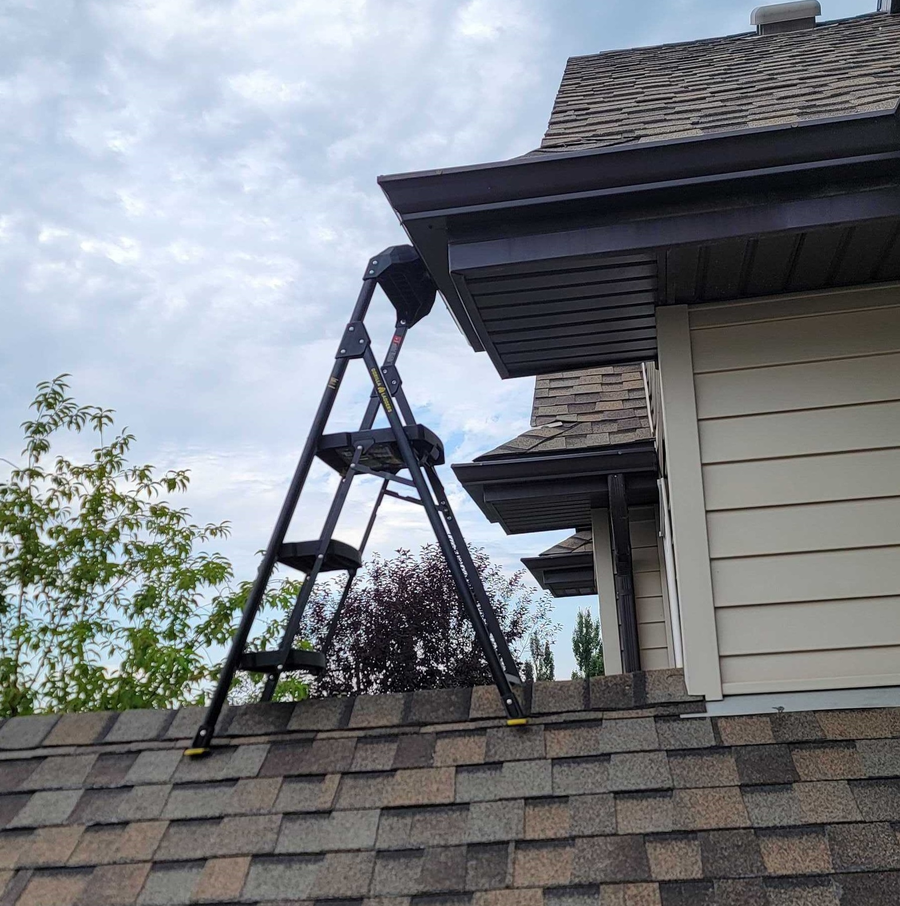 solar cleaning solar panel exclusion and cleaning