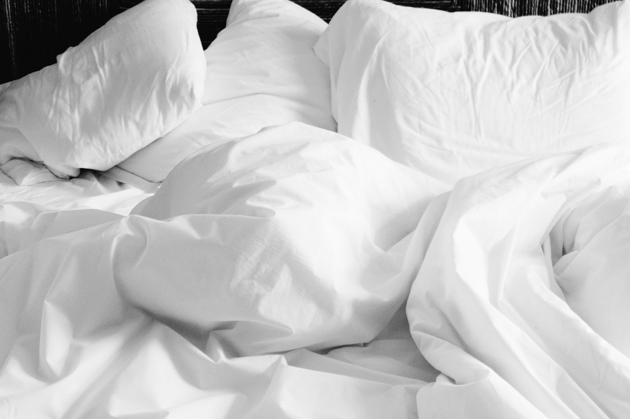 bed bugs calgary