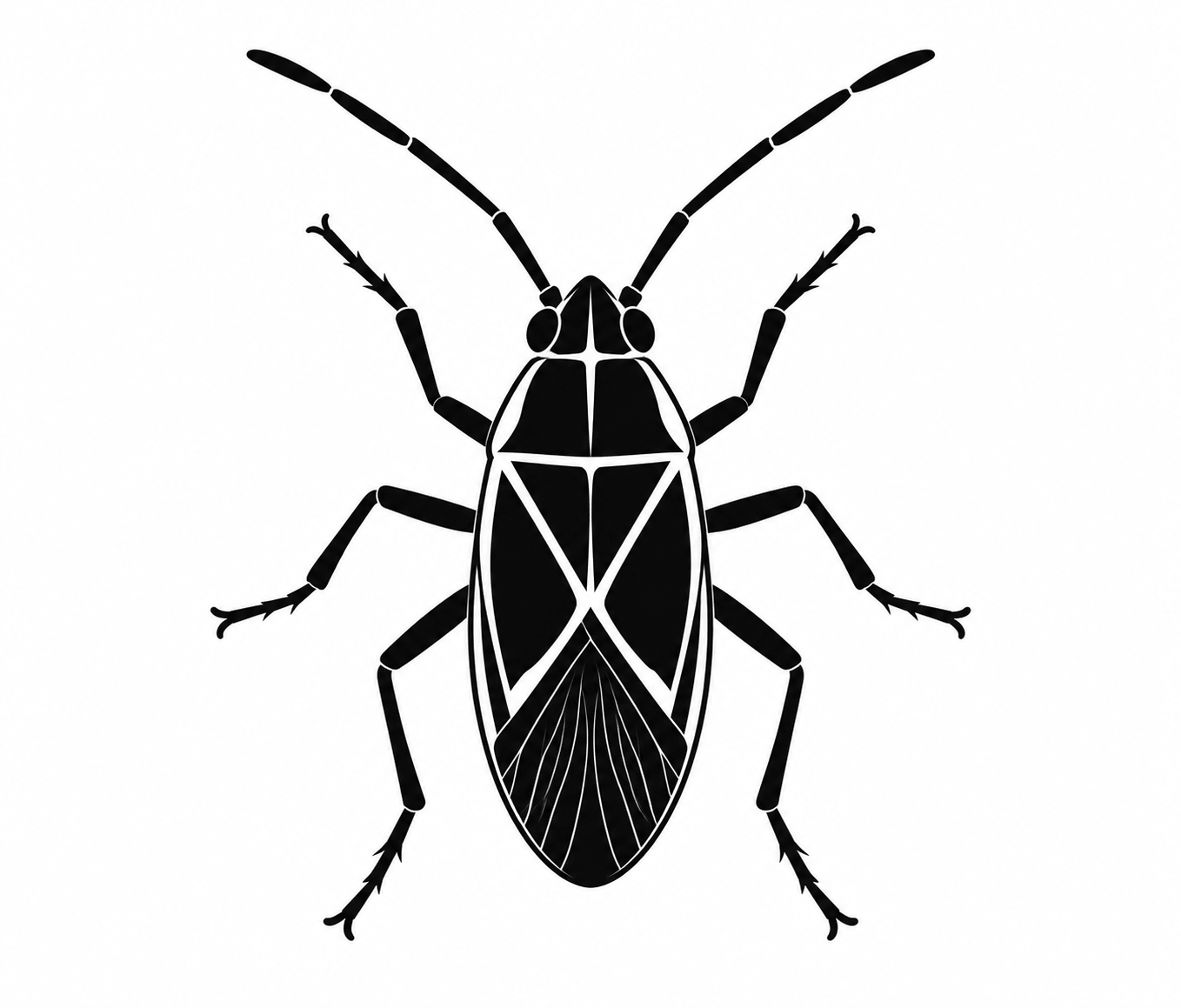 wcpc boxelder bug control
