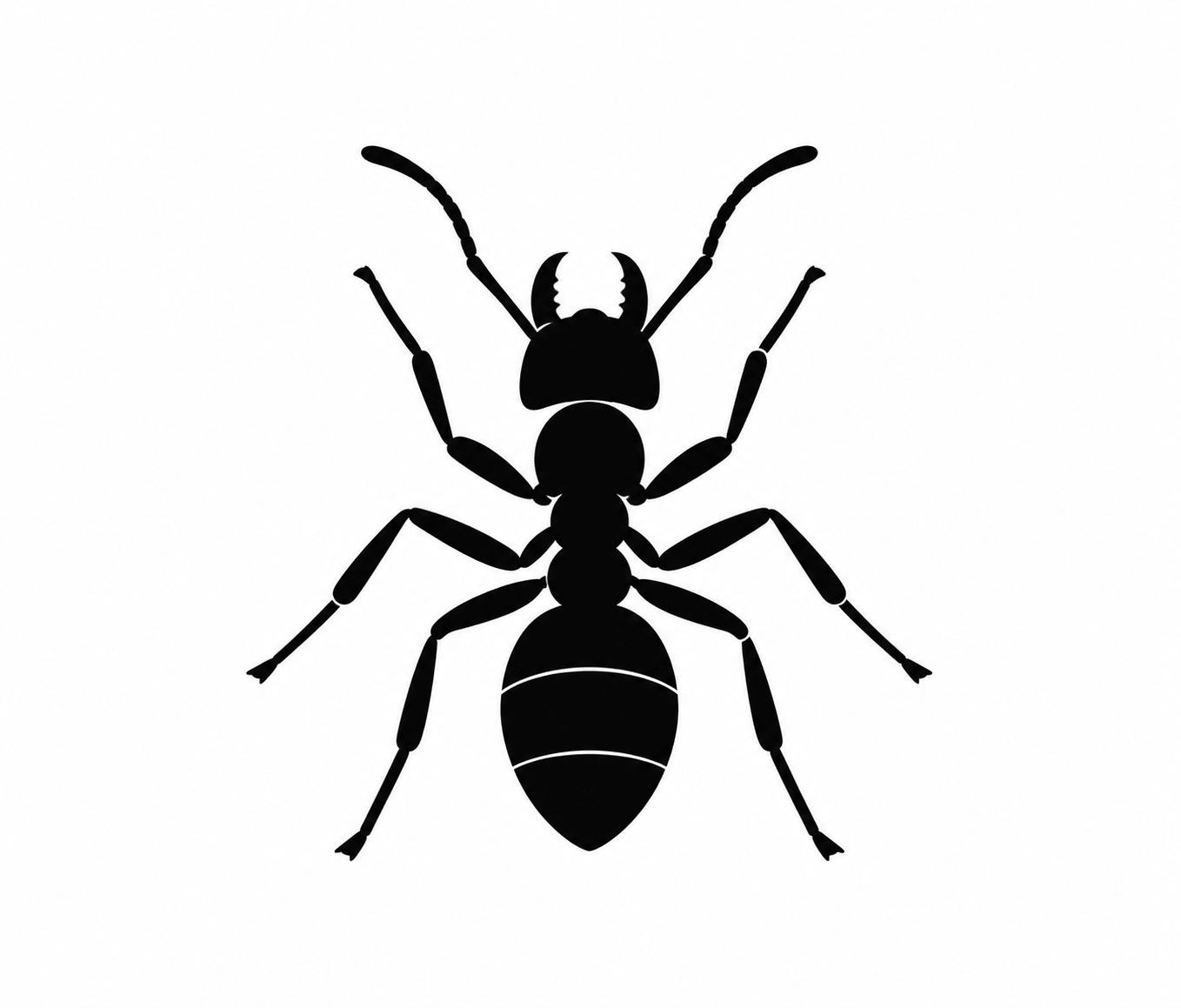 wcpc carpenter ant